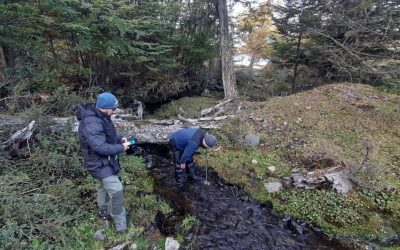 ​DGA Magallanes llegó hasta isla Hoste por solicitud de derecho de aprovechamiento de agua