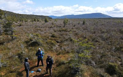 DGA del MOP delimitó áreas de prohibición de drenaje de turberas en la Región de Magallanes