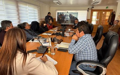MOP y Vocería de Gobierno se constituyen en terreno para sostener encuentro de trabajo con Alcaldesa de Primavera y abordar las necesidades de la comuna